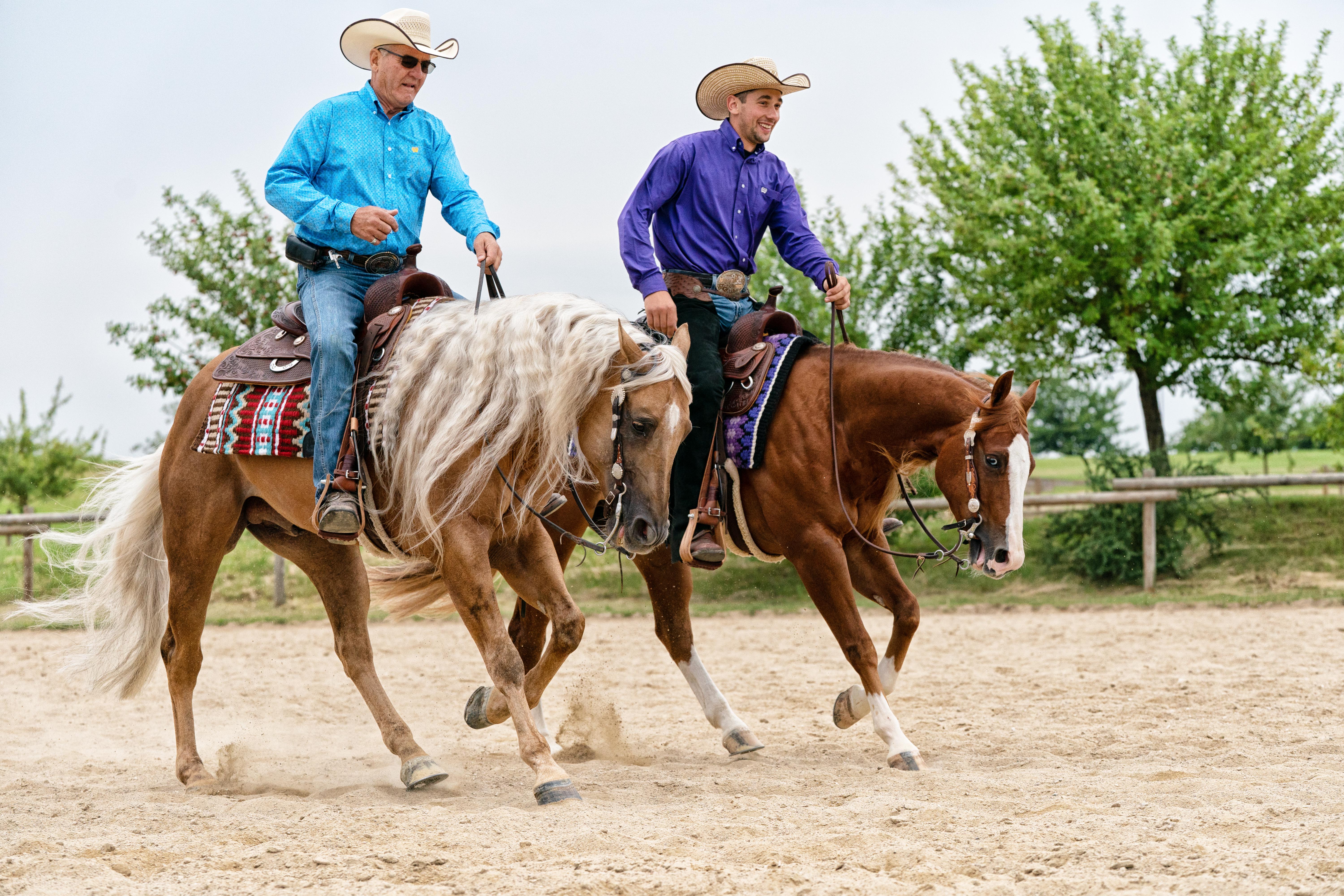 Miroslav Baniari Performance Horses