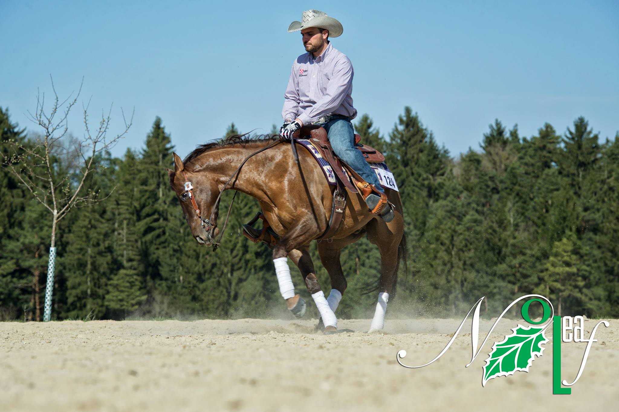 NoLeaf ProTeam1