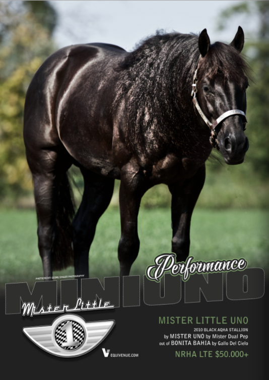 Mister little uno2